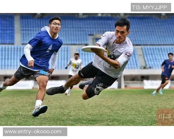 成都飞盘队战术分析与表现评估：数据驱动的竞技策略探讨